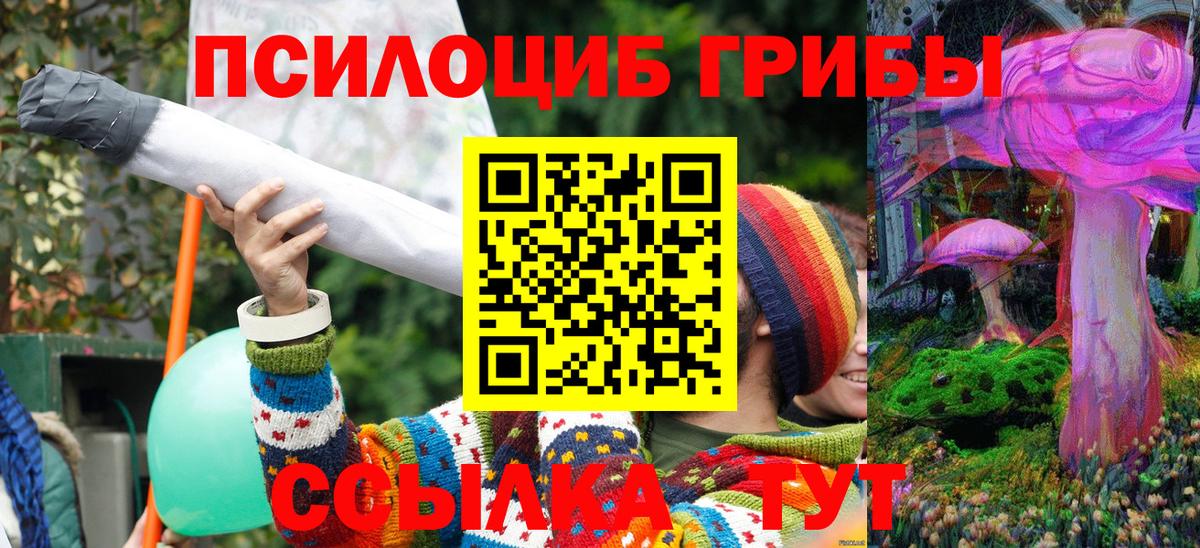 Десногорск  Псилоцибиновые грибы Psilocybe  Вход с VPN 